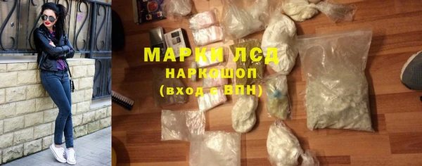 spice Богородицк